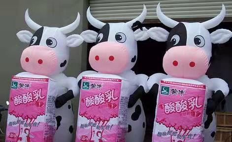 民乐牛奶厂广告气模